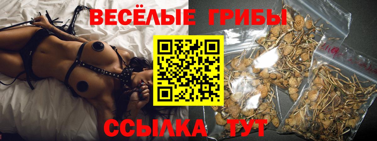 Псилоцибиновые грибы ЛСД  Галлюциногенные грибы ЛСД  Шарыпово  Вход с VPN 