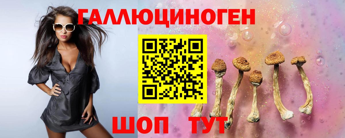 Псилоцибиновые грибы Psilocybe Шарыпово